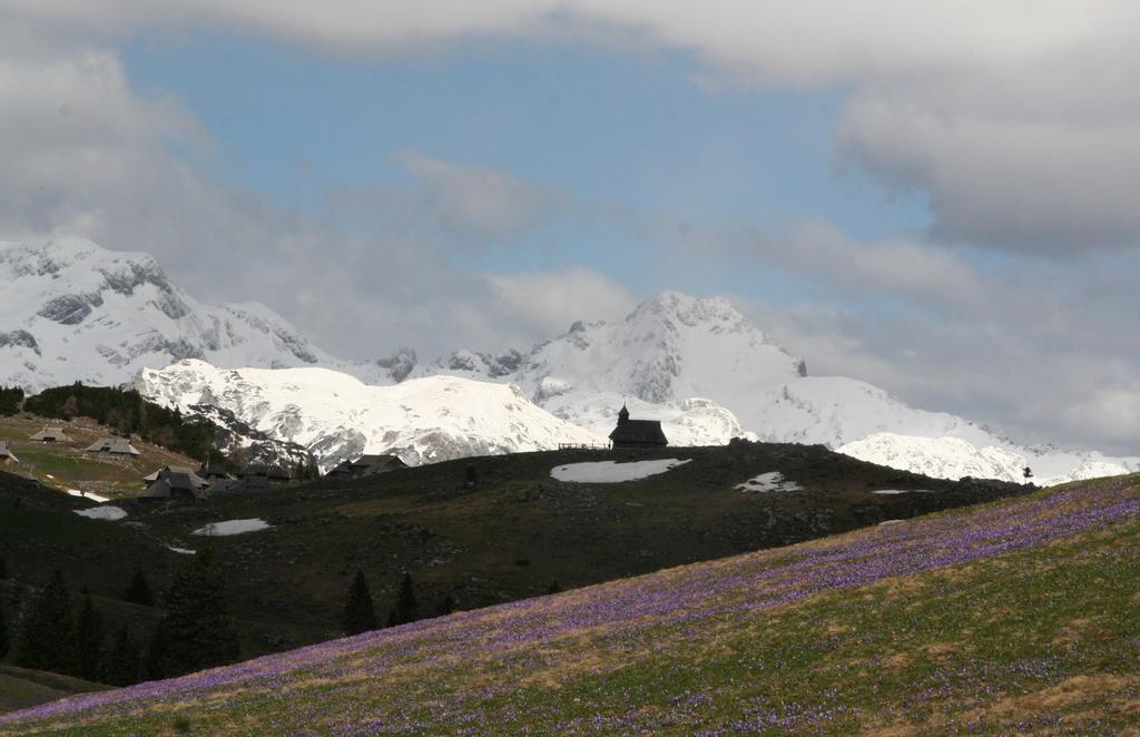 Penzion Repnik Kamnik Dış mekan fotoğraf